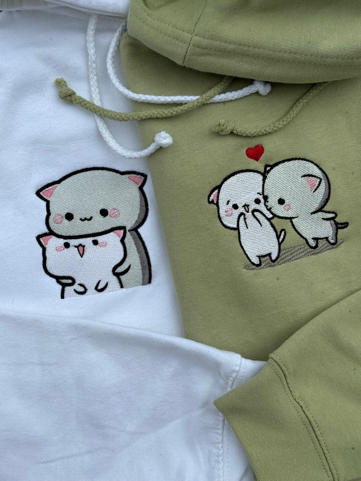 Matching sweatshirts (Dinosaurs)