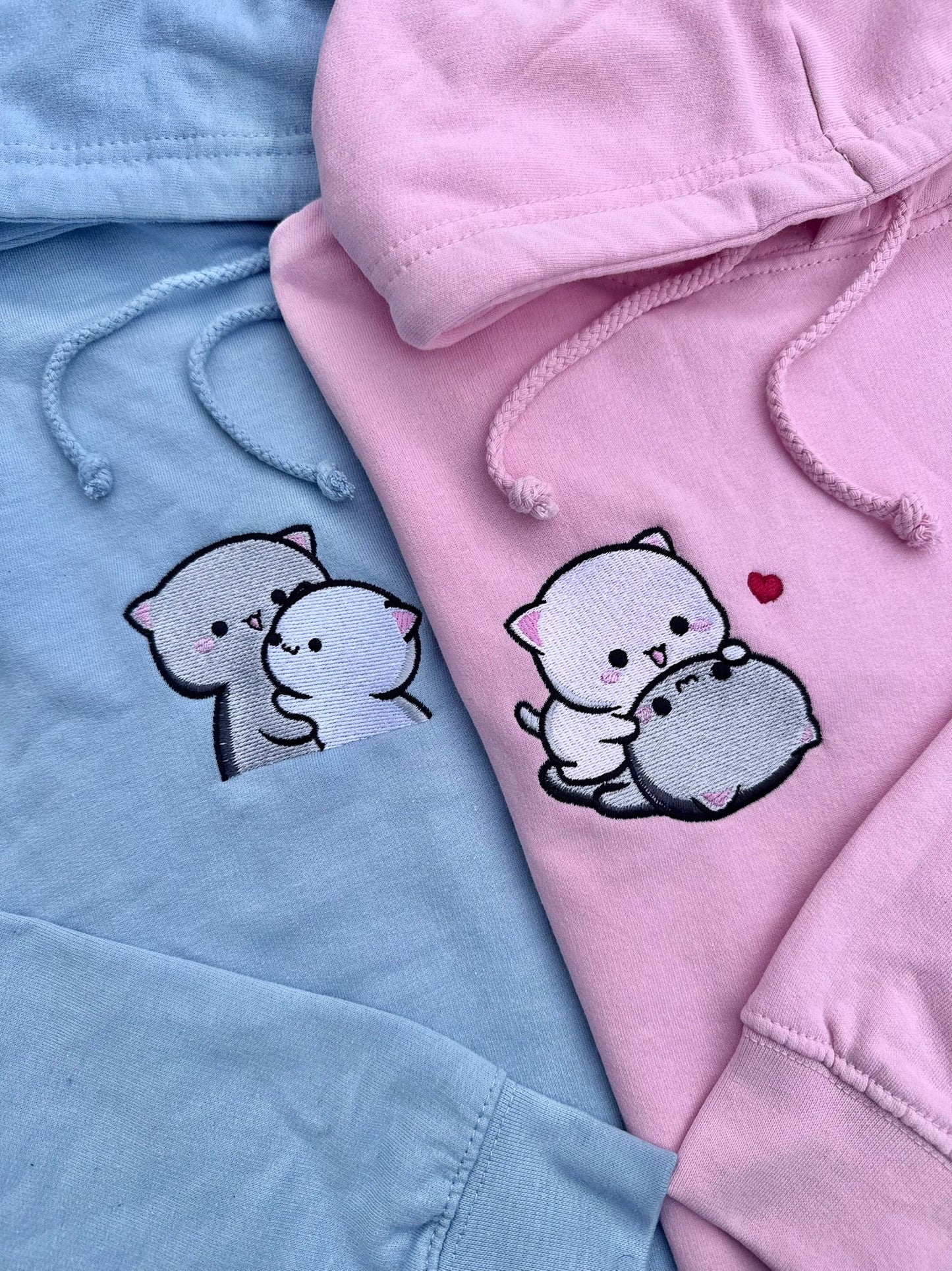 Matching sweatshirts (Dinosaurs)
