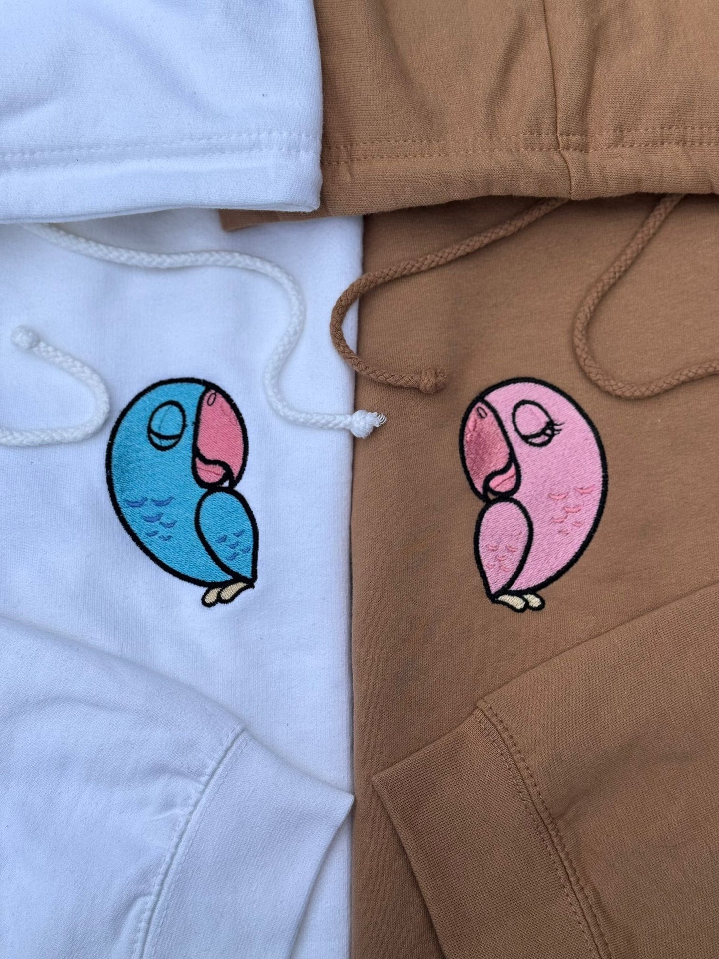 Matching sweatshirts (Dinosaurs)