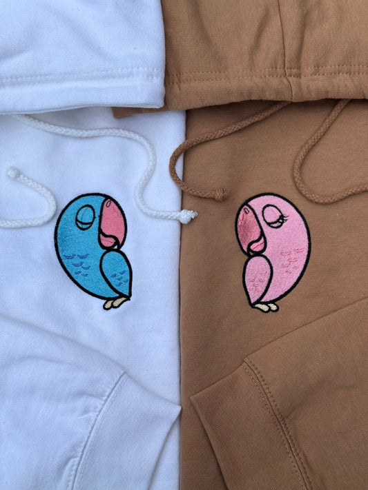 Matching sweatshirts (Dinosaurs)