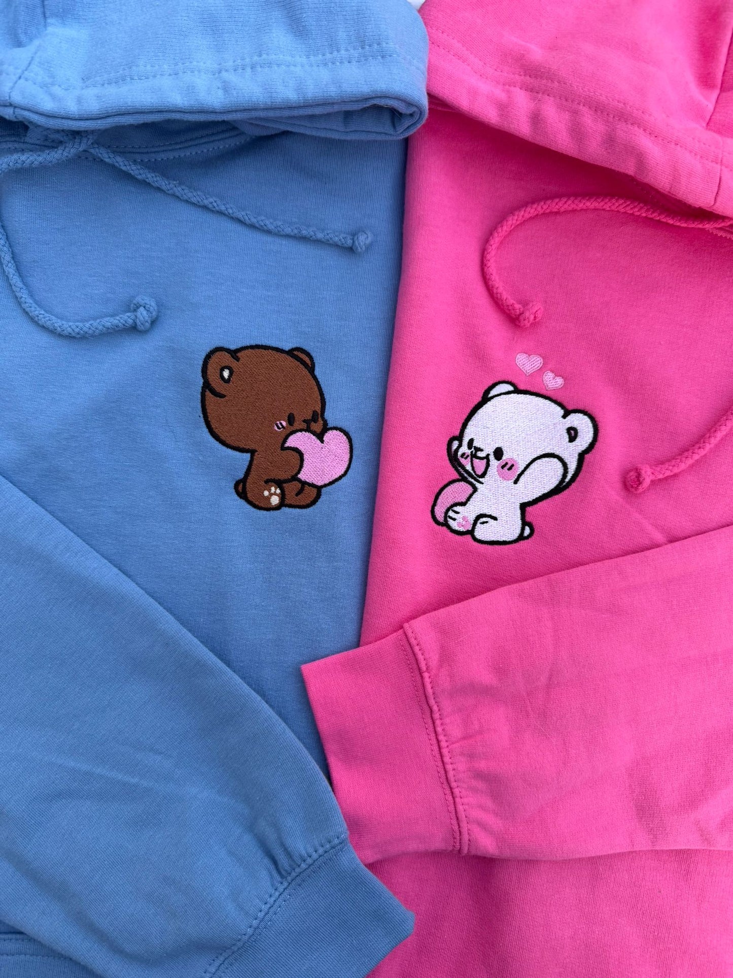 Matching sweatshirts (Dinosaurs)