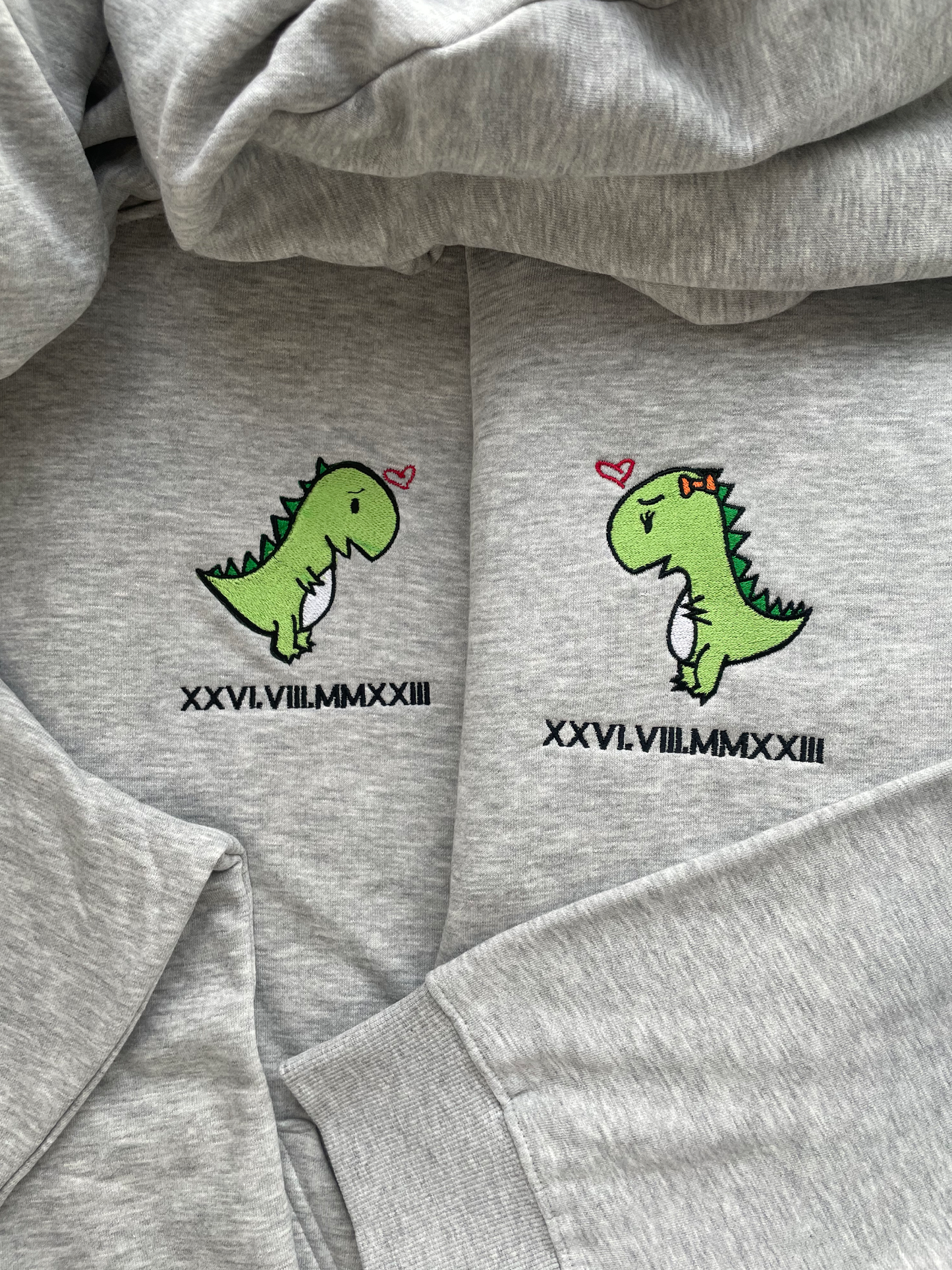 Matching sweatshirts (Dinosaurs)