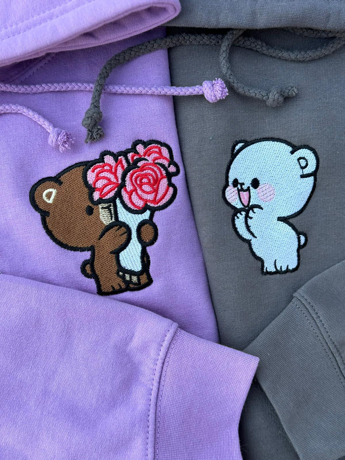 Matching sweatshirts (Dinosaurs)