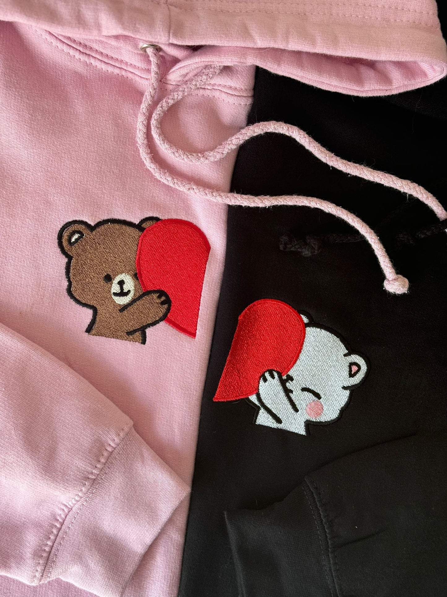 Matching sweatshirts (Dinosaurs)