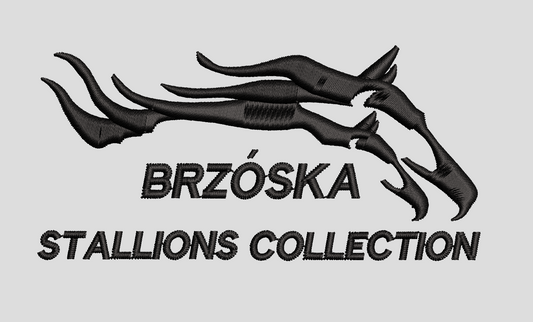 Haftuyemy x Brzoska Sport Horses – personalizowane hafty dla branży jeździeckiej